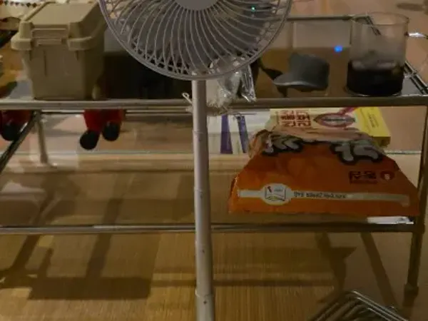 Ventéo Mini utilisé sur une table de chevet